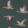 Elysian Geese 216608